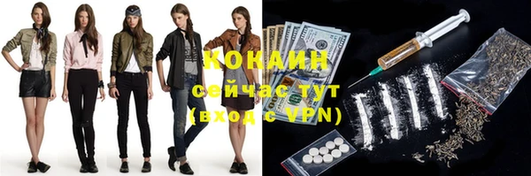 apvp Бородино