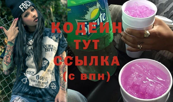 apvp Бородино