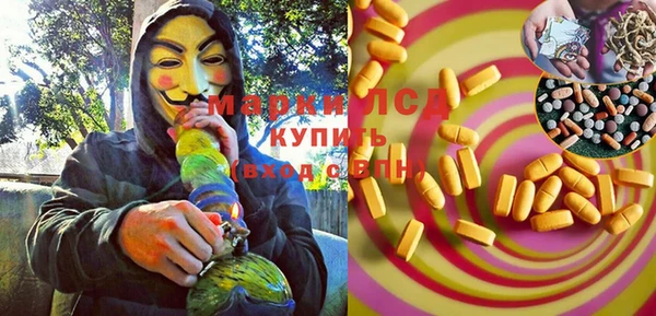 индика Бугульма