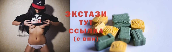 индика Бугульма