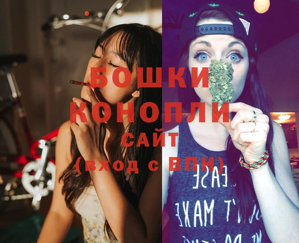индика Бугульма