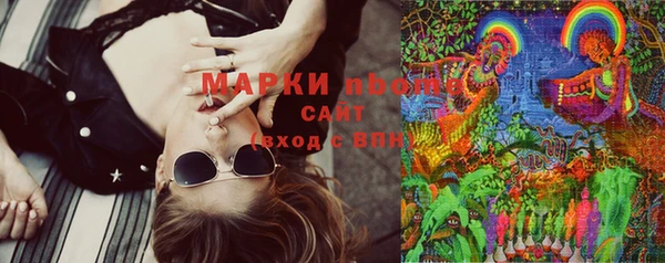 индика Бугульма