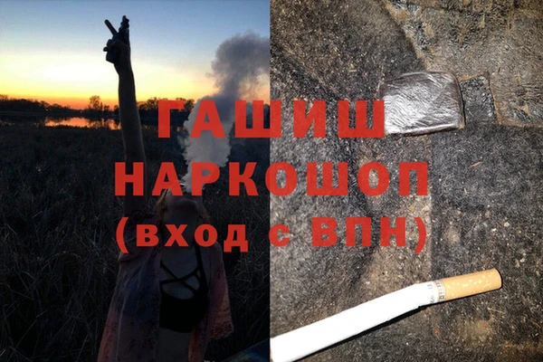 apvp Бородино