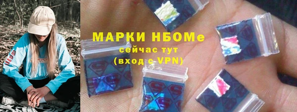 индика Бугульма