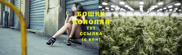 apvp Бородино