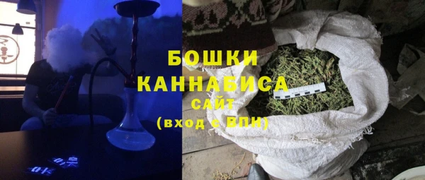 apvp Бородино