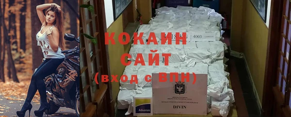 индика Бугульма