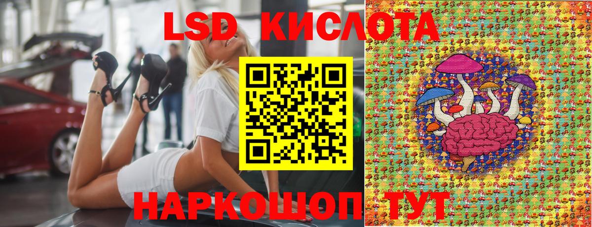 Выборг  купить наркотики цена  Марки 25I-NBOMe  Марки 25I-NBOMe 1500мкг  Вход с VPN  Марки 25I-NBOMe 1500мкг 