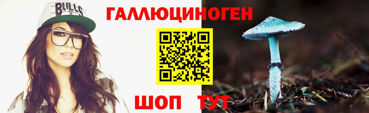 Выборг  Псилоцибиновые грибы Magic Shrooms  Вход с VPN 